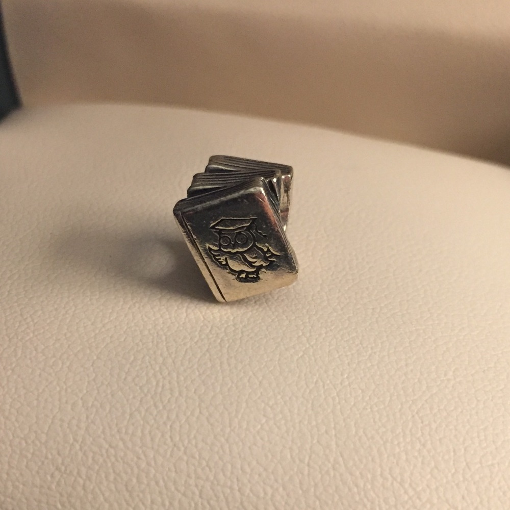 Pandora textbooks charm
